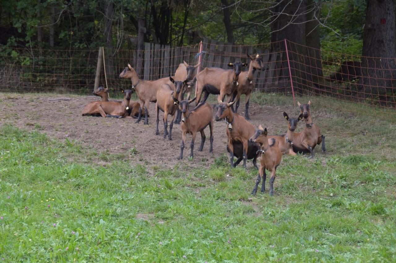 Lacknerhof Oberperfuss Ngoại thất bức ảnh